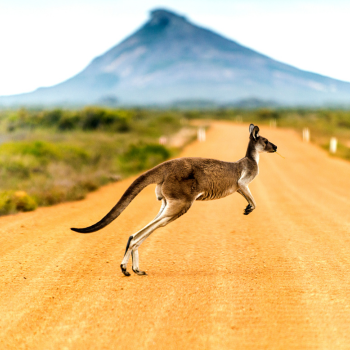 Australia Travel Guide