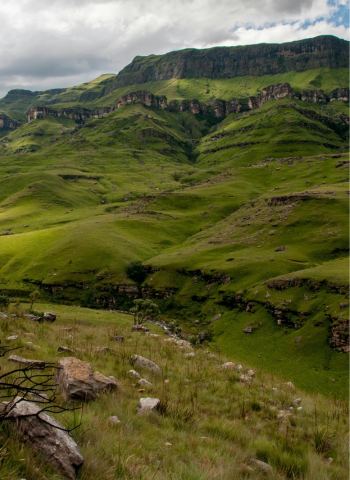 Explore South America