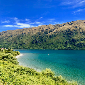 New Zealand Travel Guide
