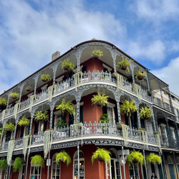 New Zealand Travel Guide