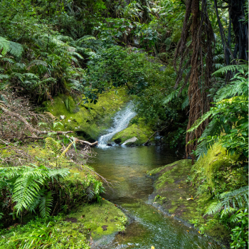 New Zealand Travel Guide