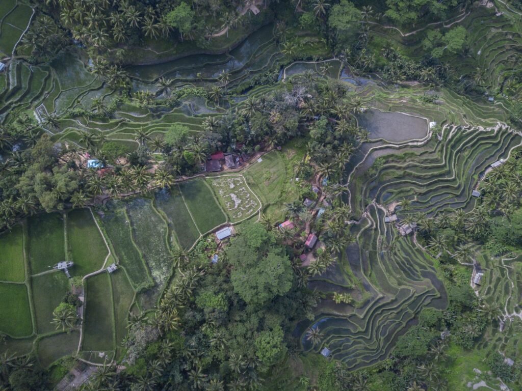 Aerial picture of the Tegallalang Rice Terraces in Ubud, Bali