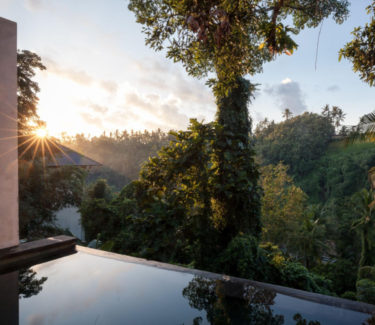 Ubud jungle resort infinity pool Bali nature view
