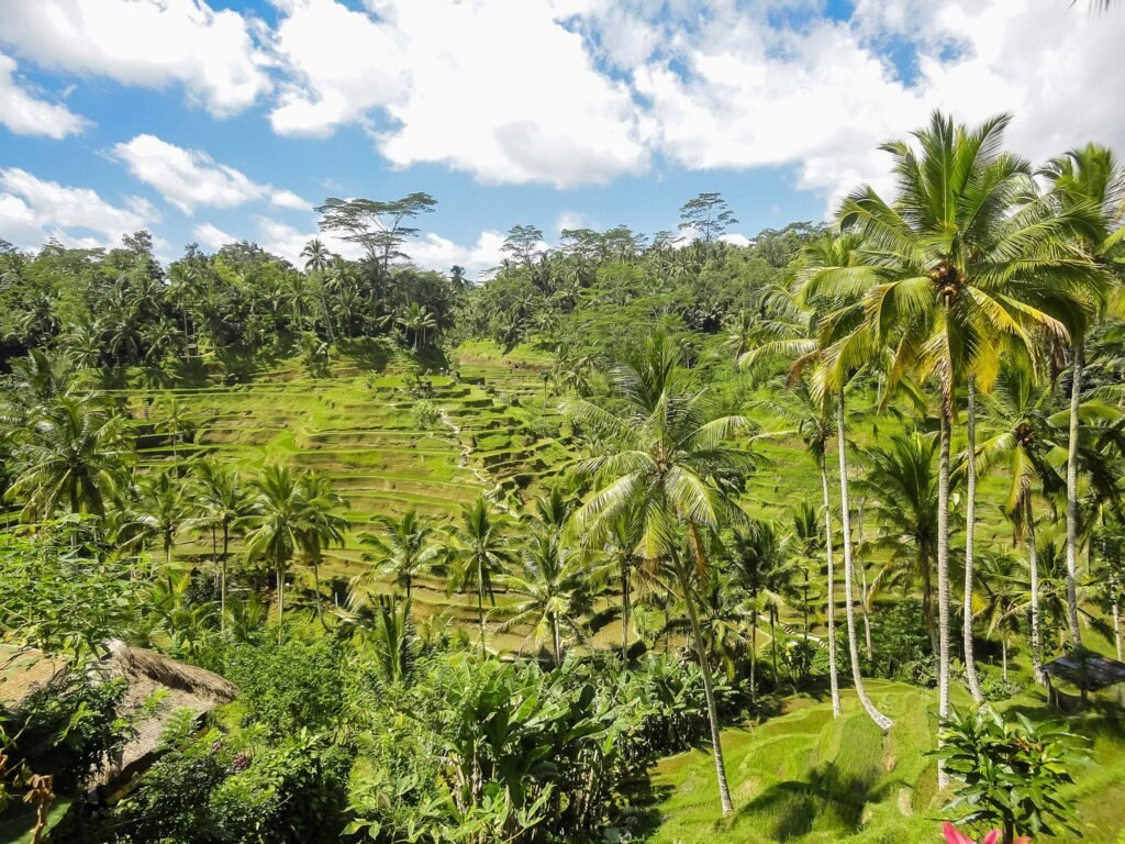Ubud, Bali