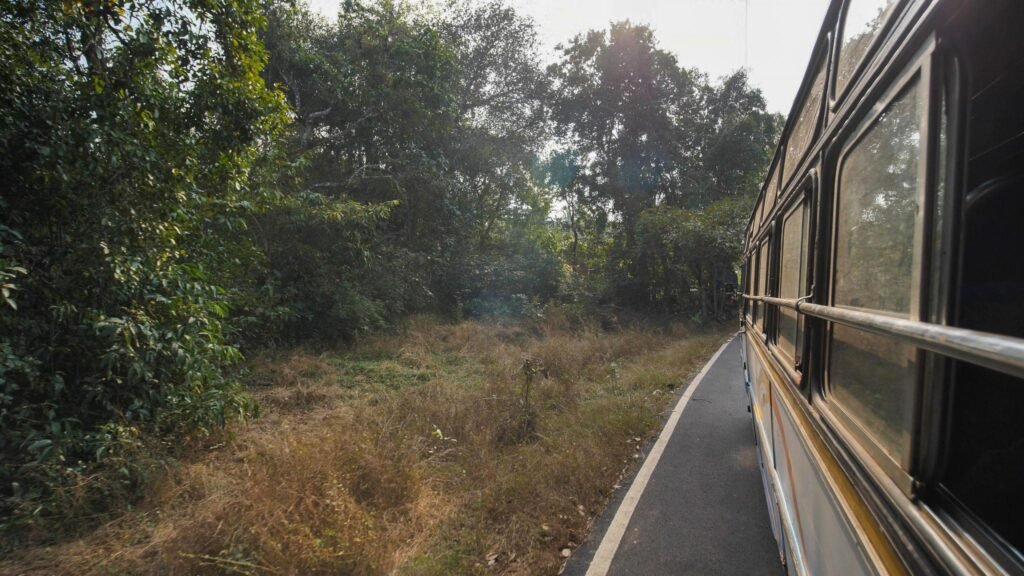 The view from the window of an intercity bus in India. State of Goa