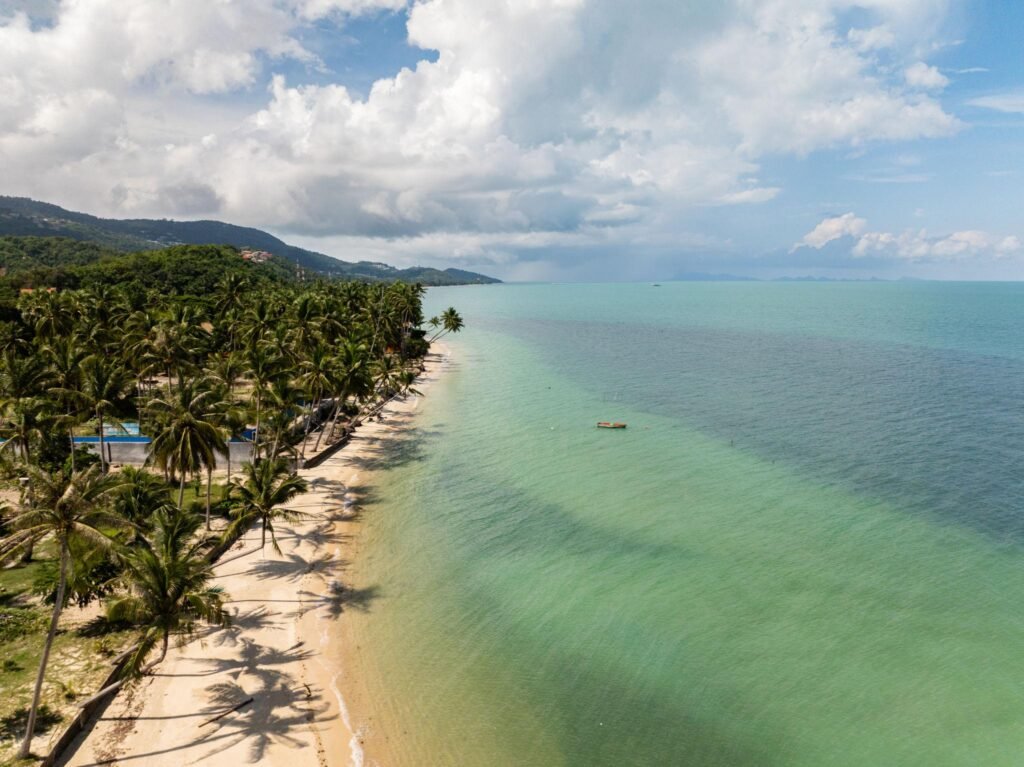 Beach with palm trees and turquoise waters. Koh Samui, Thailand.