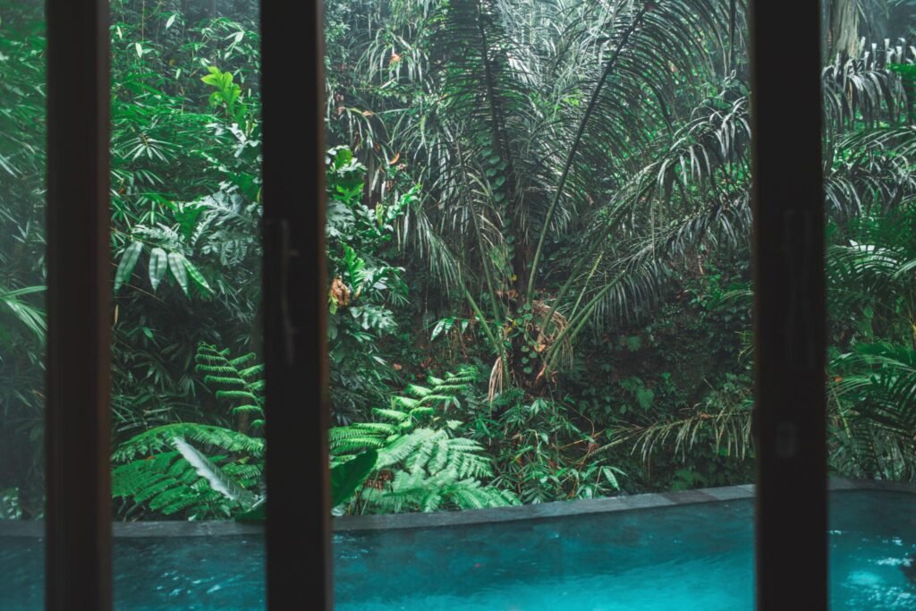 Amazing jungle view from hotel room with private swimming pool. Luxury spa retreat in Bali, Ubud.