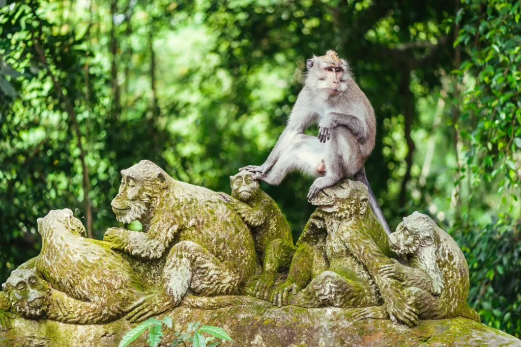 Ubud-Monkey-Forest-Indonesia