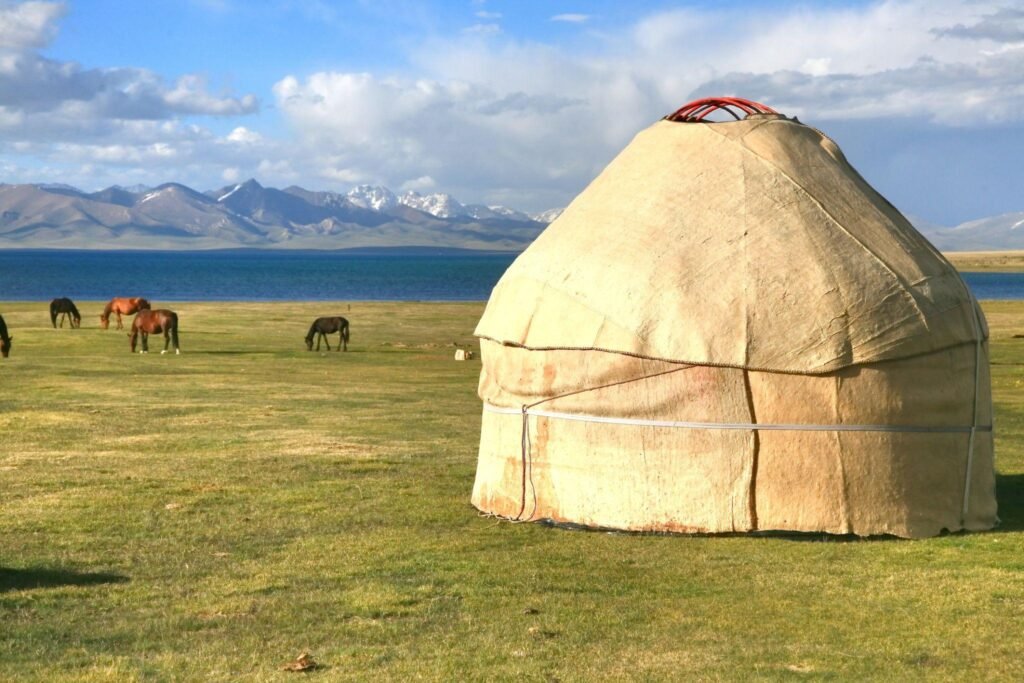 The horse around ger camp in a large meadow at Song kul lake , Naryn of Kyrgyzstan