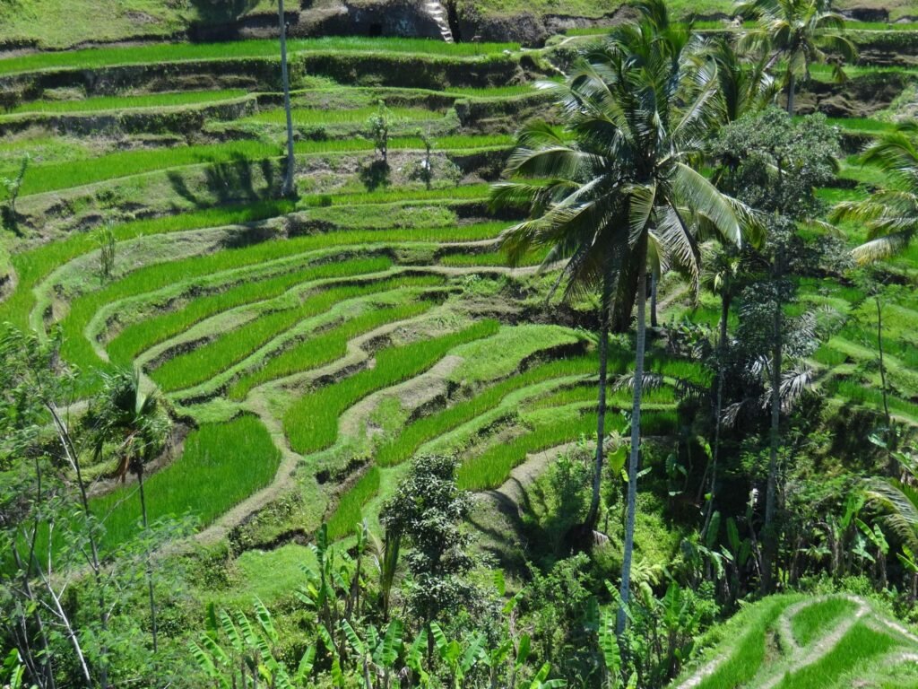 Traveling in Indonesia