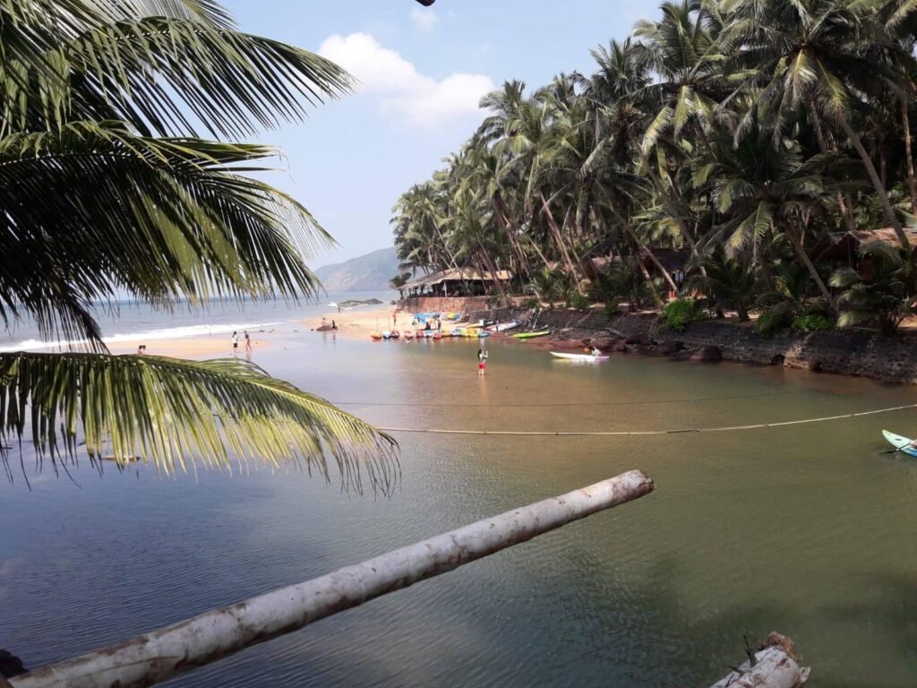 Kayaking in Backwaters
