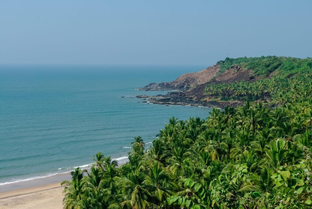 Sea view from hidden beach with palms near Agonda beach