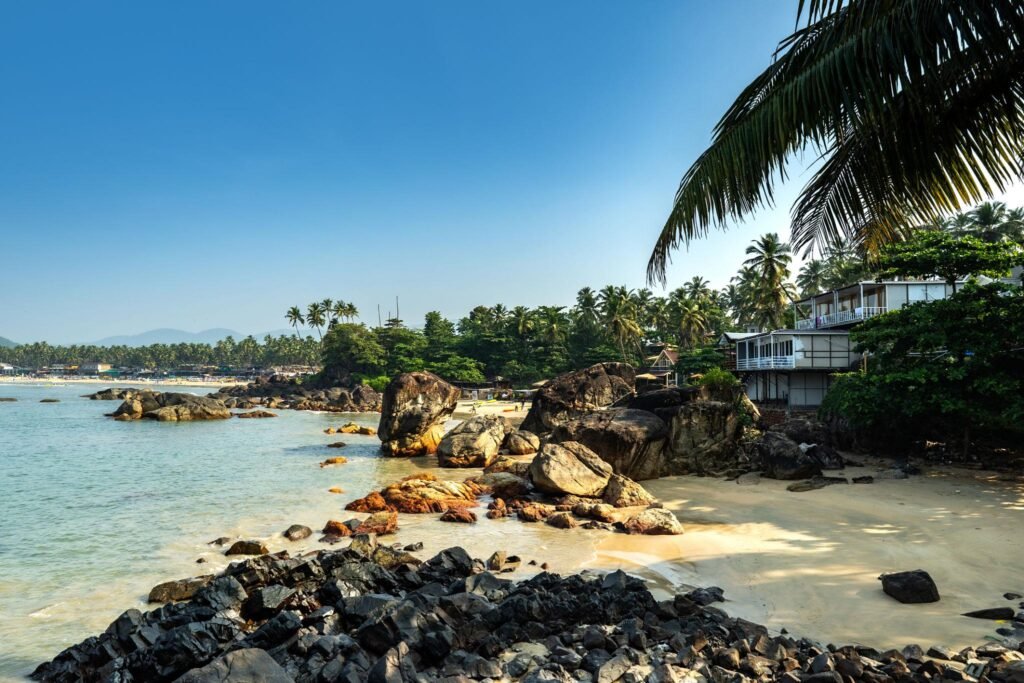 Scenic Beach with Palms and Rocks in Goa, India under Clear Blue Sky