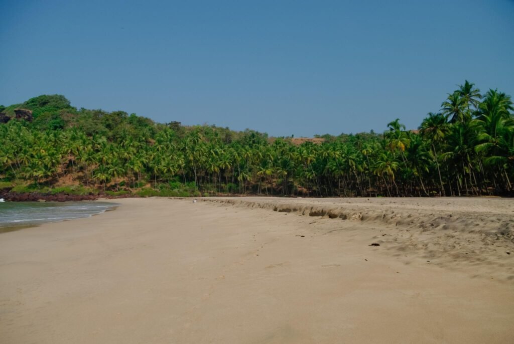 Hidden sand beach with palms near Agonda beach, Goa state, India. No people