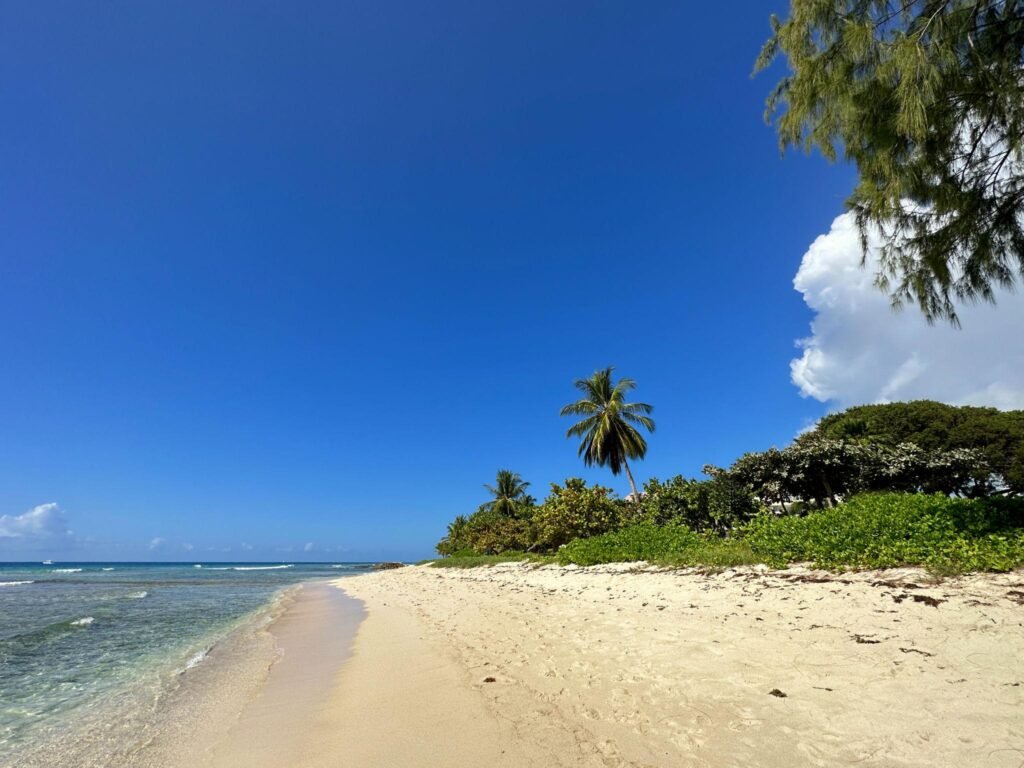 Beautiful caribbean beach with clear water and blue sky