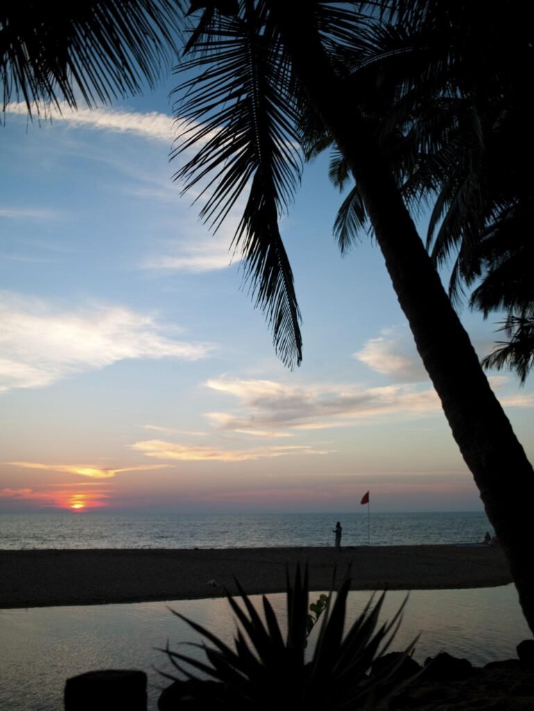 Cola beach Goa