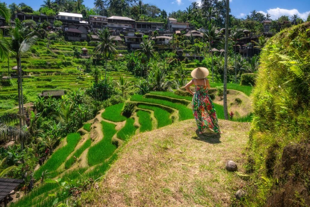 Stunning Scenic Rice Terraces, Surrounded by Lush Greenery and a Dedicated Bicyclist Enjoying the Views