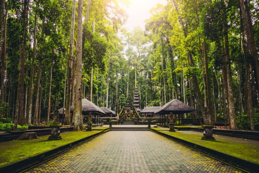 Sacred Monkey Forest Sanctuary in Ubud, Bali, Indonesia
