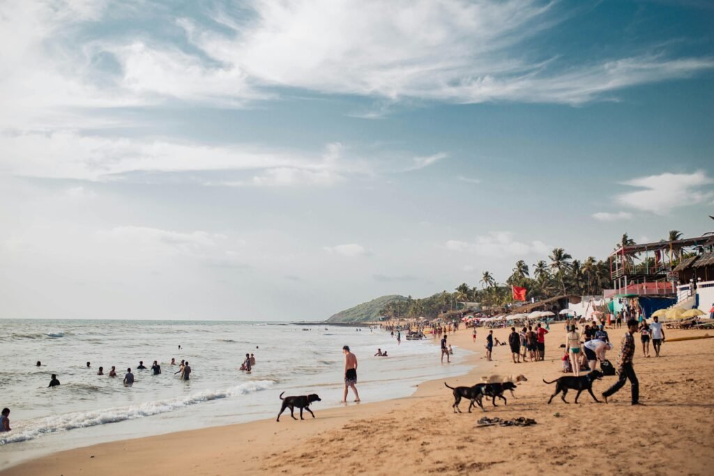 Goa Beaches