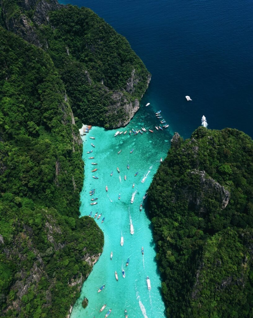 Phi Phi Island Tours​