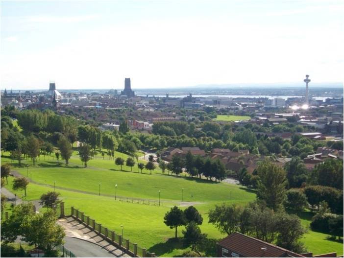 Everton Park​