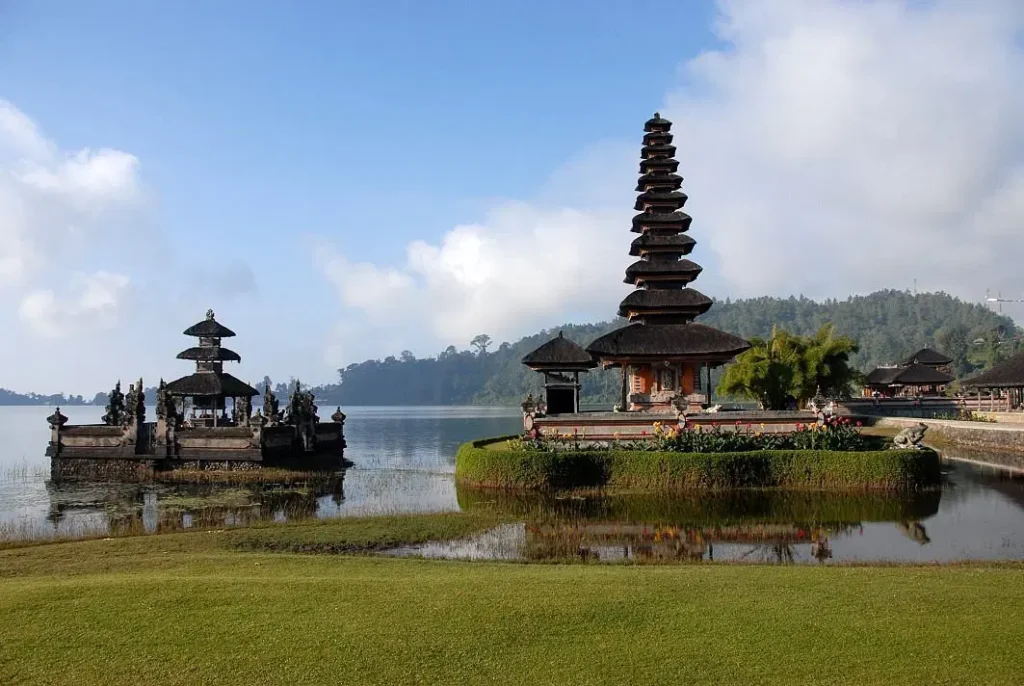 lesser bali