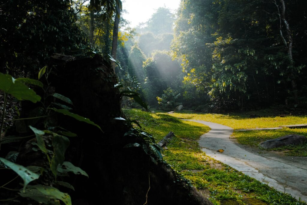 malaysia Nature Lover