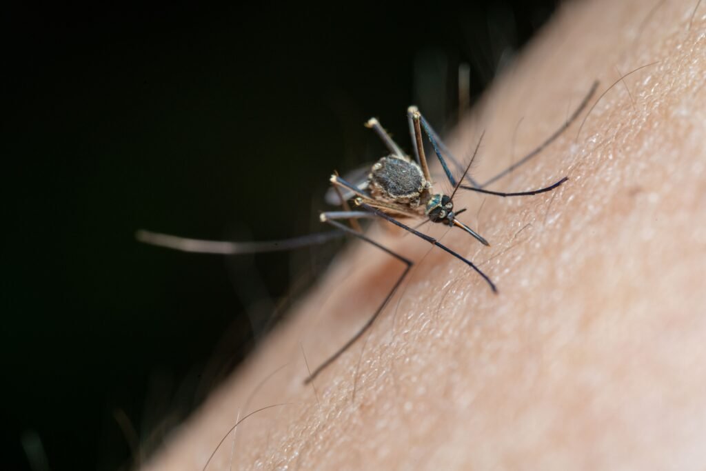 Insect Repellent​