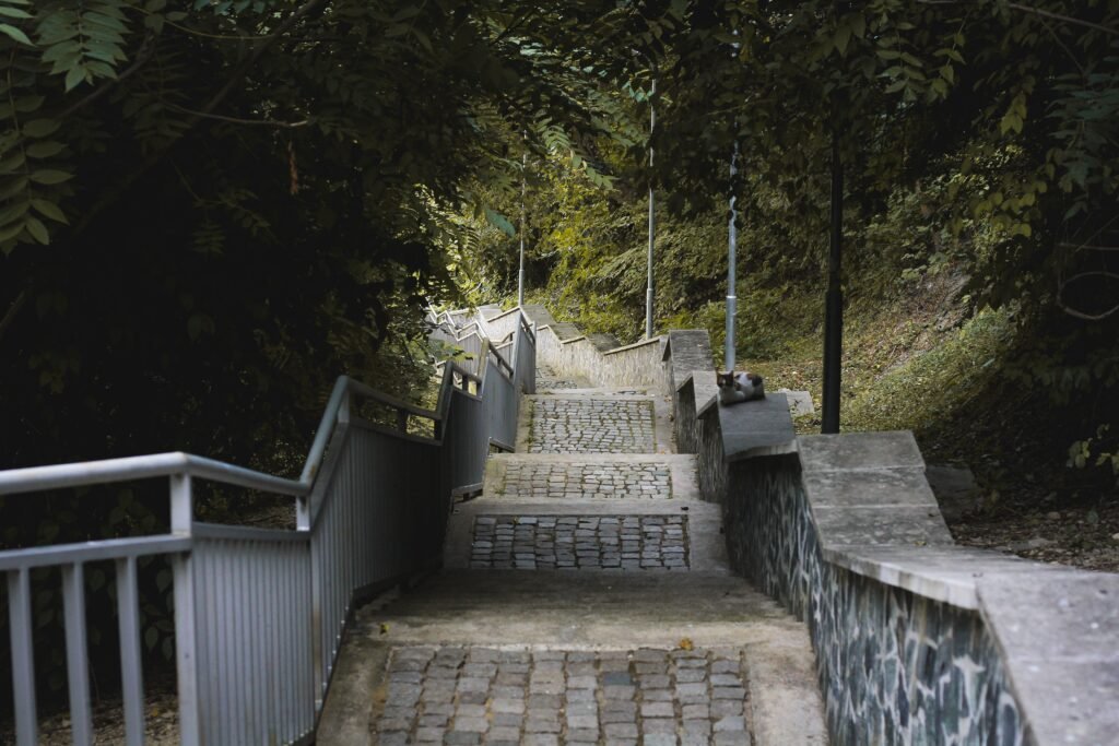 Serene stone staircase surrounded by lush greenery in an urban setting.