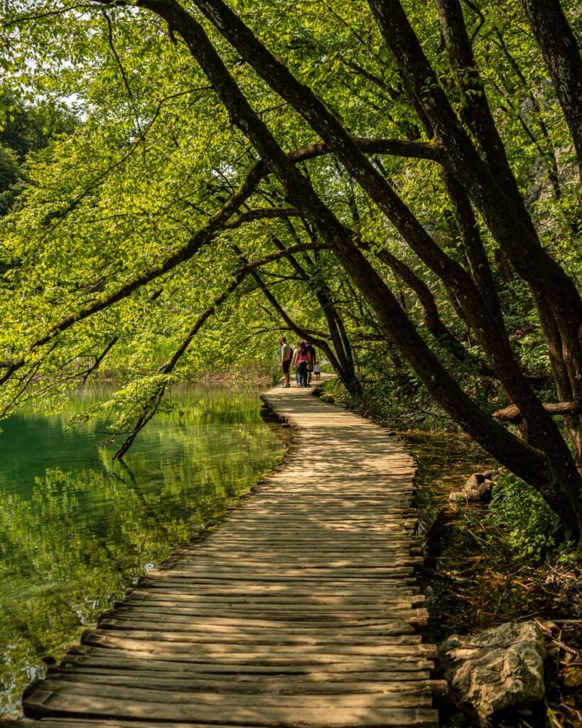 A serene boardwalk surrounded by lush greenery in Plitvice Lakes, Croatia, perfect for relaxation and nature walks.