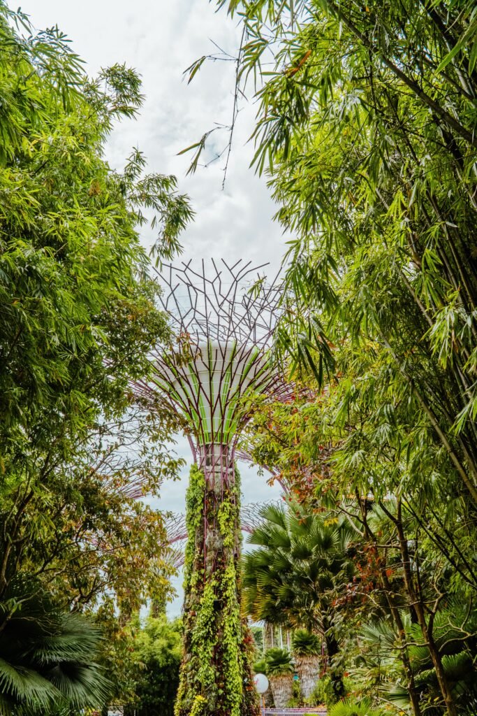 Vertical view of Supertree, Singapore, amidst lush tropical greenery and bamboo trees.