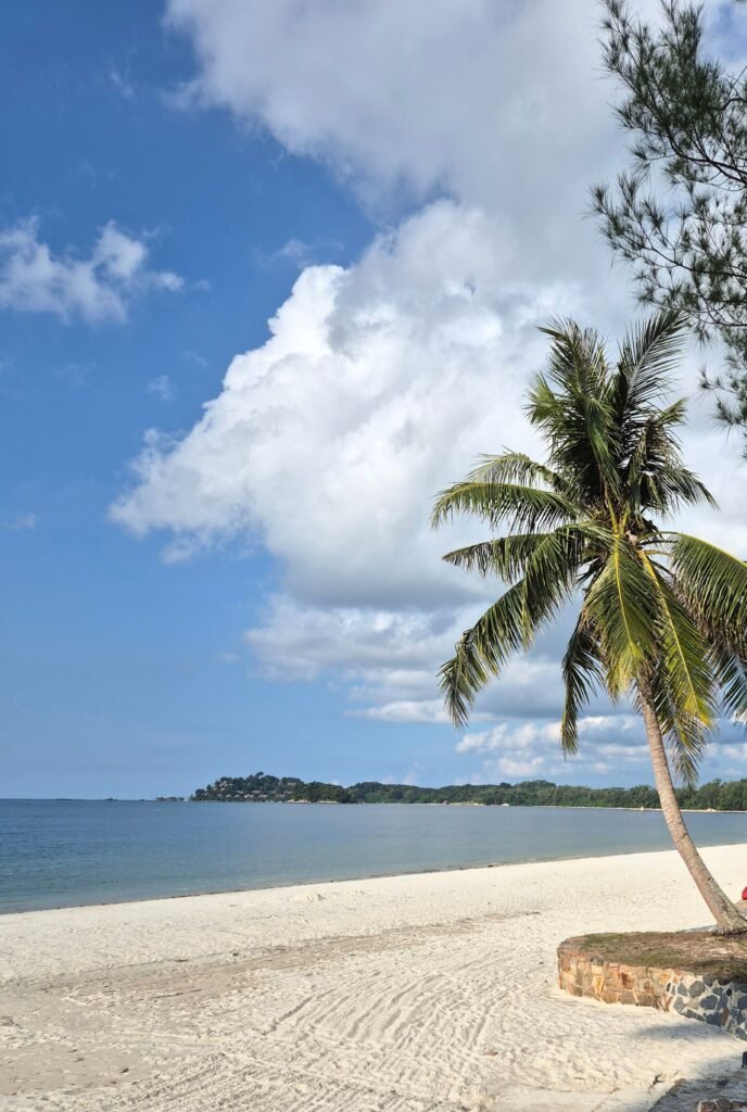 Peaceful Singapore beach scene with palm tree and blue sky, perfect for vacation themes.