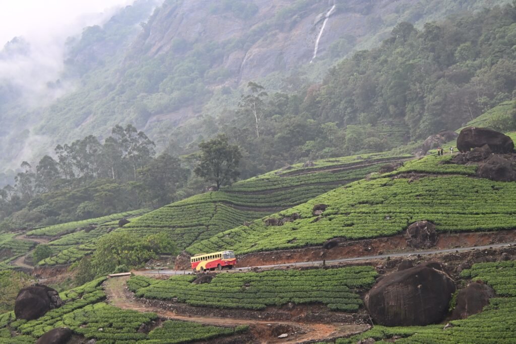 Scenic view of misty green tea plantations in Munnar with a traveling bus on winding roads.