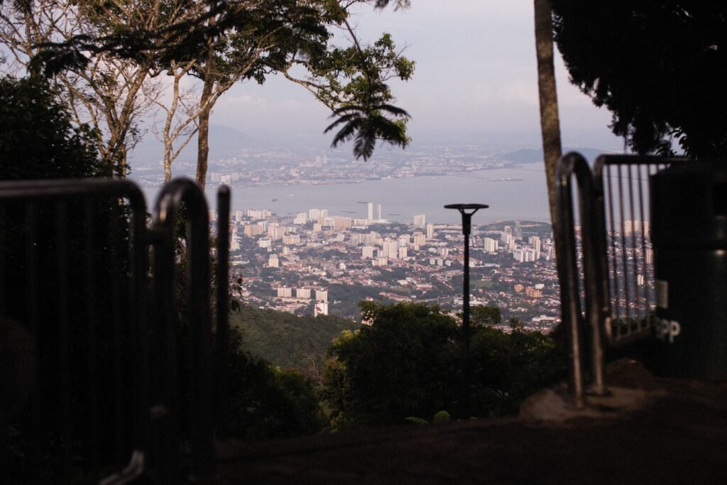 Breathtaking view of cityscape from a forest path, framed by trees and overlooking a bay.