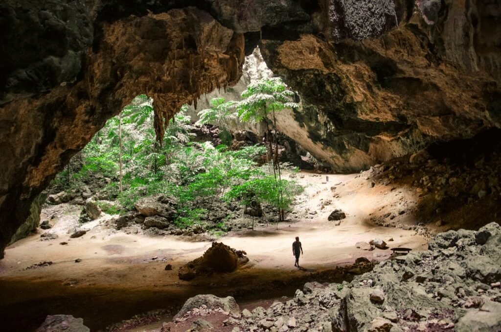 Explore the breathtaking Phraya Nakhon Cave featuring lush trees illuminated by sunlight.