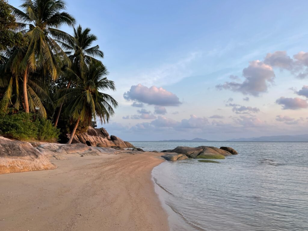 Peaceful tropical beach scene with palm trees, sand, and rocks under a blue sky.