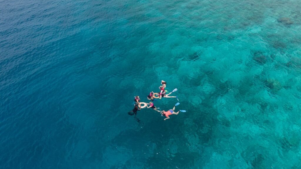 Aerial shot of a group snorkeling in clear turquoise waters near Dhonfanu, Maldives.