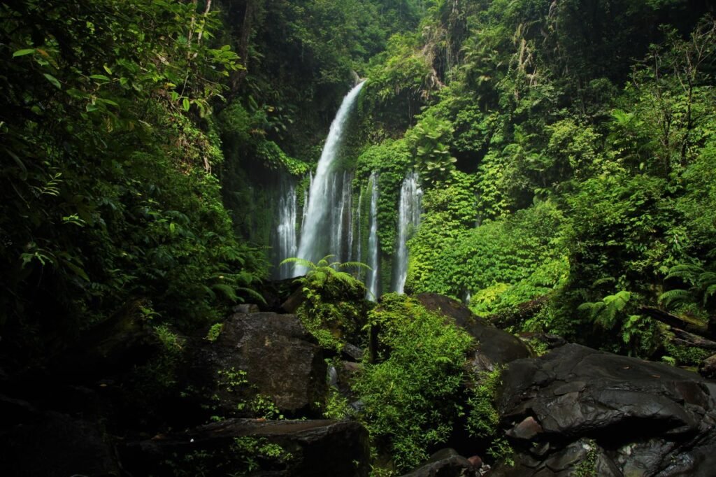 Tiu Kelep Waterfall cascades through lush forest in West Nusa Tenggara, Indonesia.