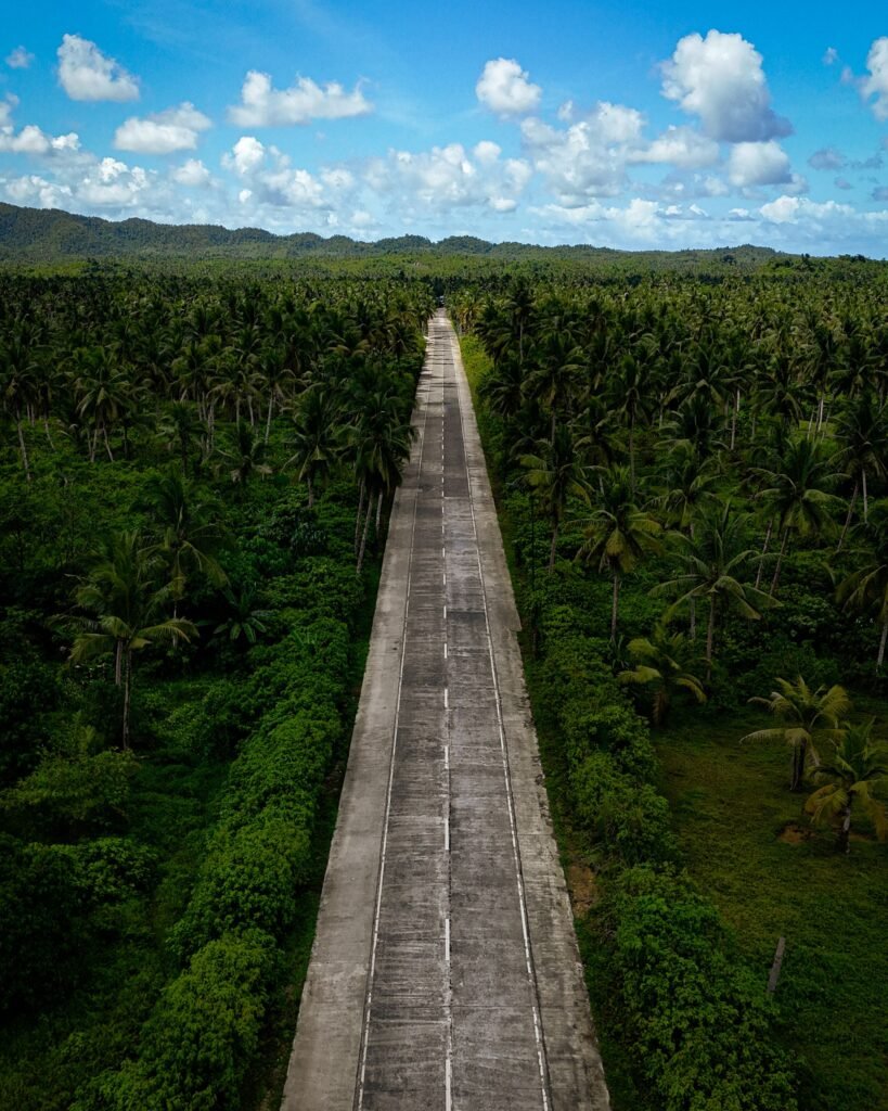 Long straight road cutting through dense tropical jungle under a blue sky.