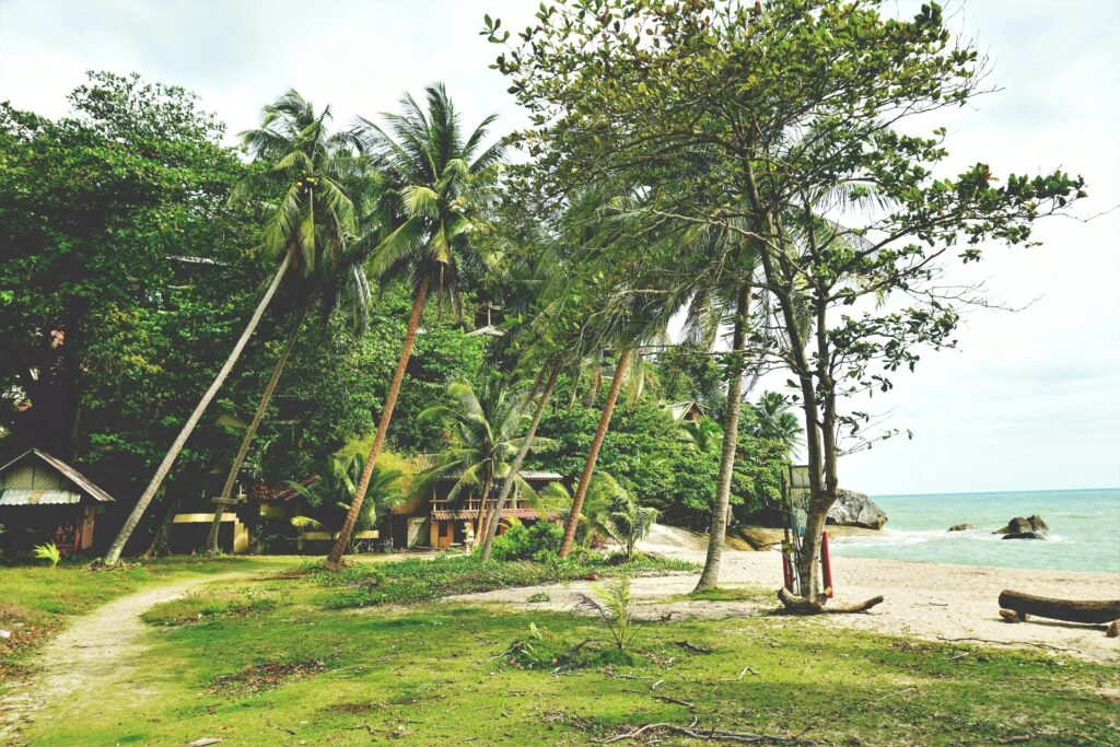 Scenic tropical beach with palm trees and villas in Ko Pha-ngan, Thailand.