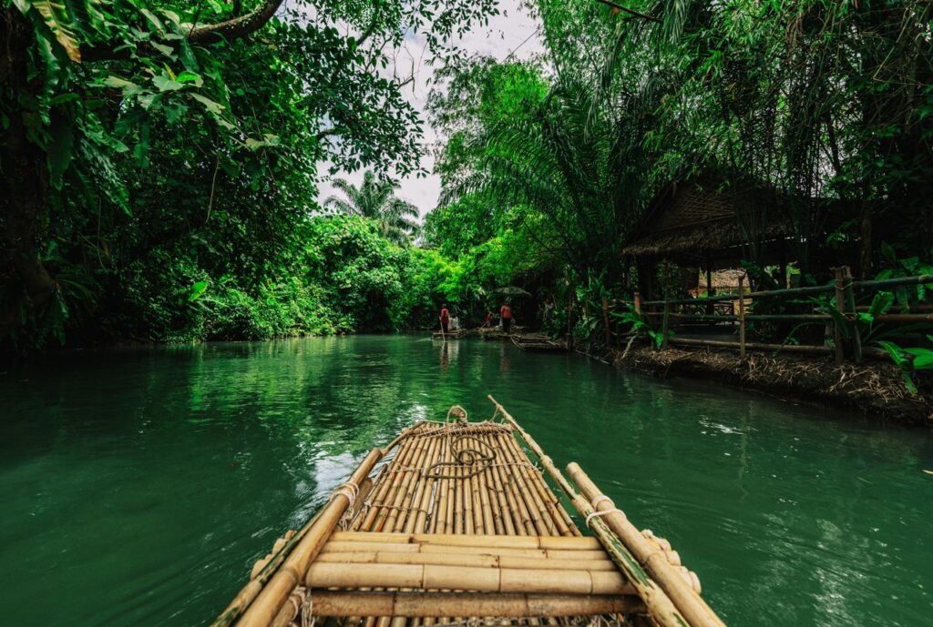 Bamboo rafting through green river in lush Krabi jungle setting.