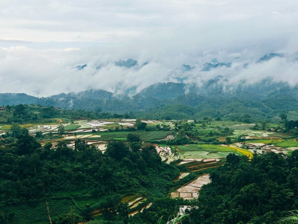 Explore the breathtaking view of Vietnam's terraced rice fields amidst lush greenery and misty mountains.