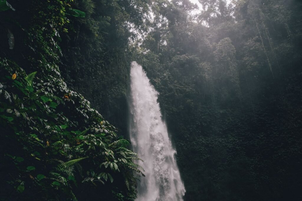 Discover the serene beauty of a waterfall cascading through the tropical forests of Bali, Indonesia.