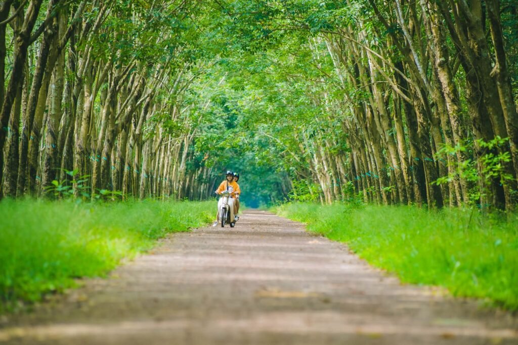 A woman leisurely cycling along a lush, tree-lined path during the day.