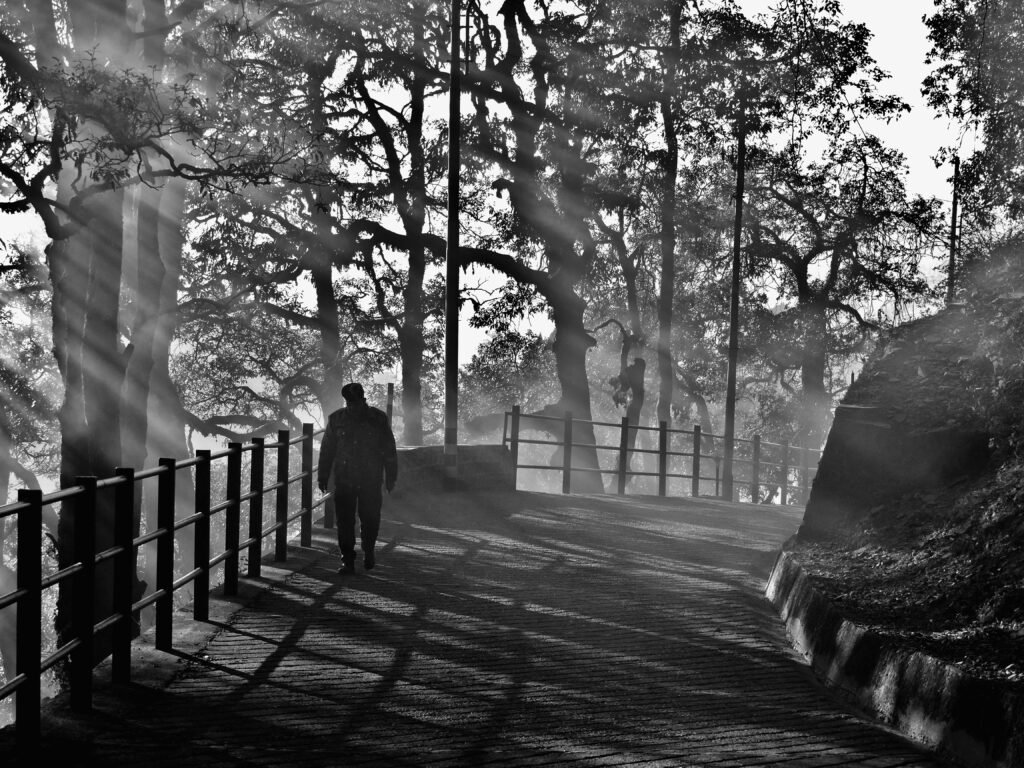 A silhouetted figure walking through a scenic forest pathway in Mussoorie, India.