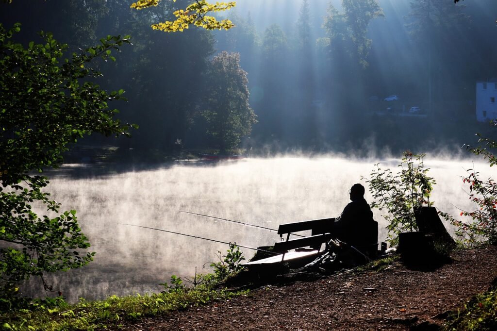 fishing, leisure, lake, nature, outdoors, trip, travel