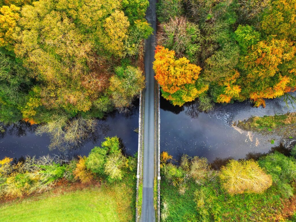 Captivating aerial view of a bridge over a river surrounded by vibrant autumn foliage.